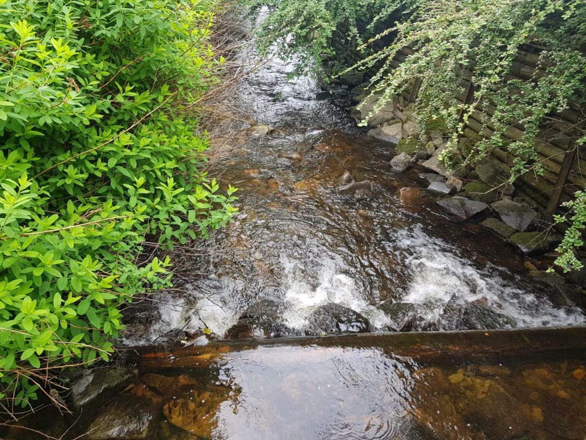 Ferienwohnungen Untermuehle, Rothenbergerstr. 12 ألتيناو المظهر الخارجي الصورة
