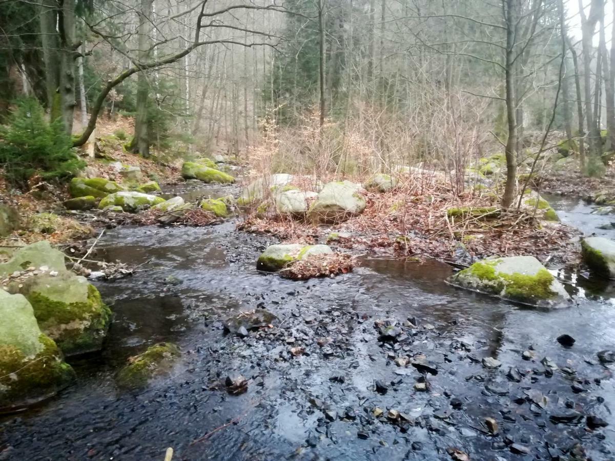 Ferienwohnungen Untermuehle, Rothenbergerstr. 12 ألتيناو المظهر الخارجي الصورة