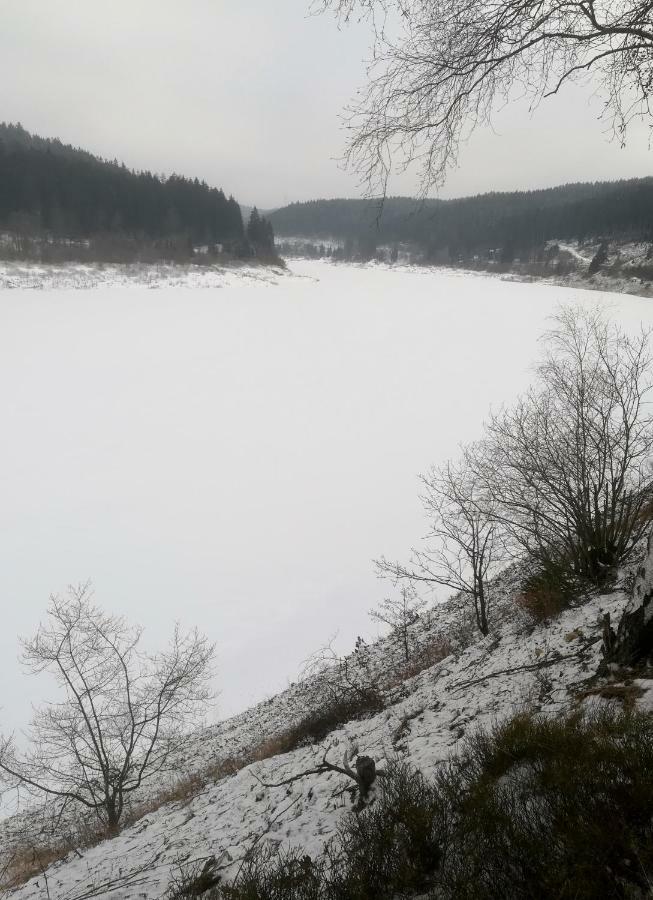 Ferienwohnungen Untermuehle, Rothenbergerstr. 12 ألتيناو المظهر الخارجي الصورة
