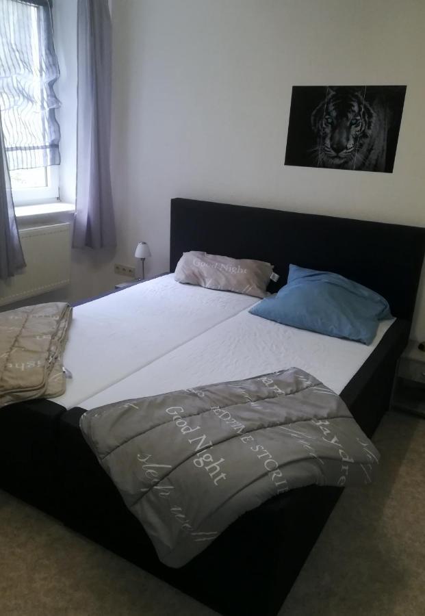 Ferienwohnungen Untermuehle, Rothenbergerstr. 12 ألتيناو المظهر الخارجي الصورة